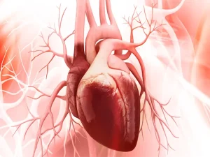 التهاب عضله قلب