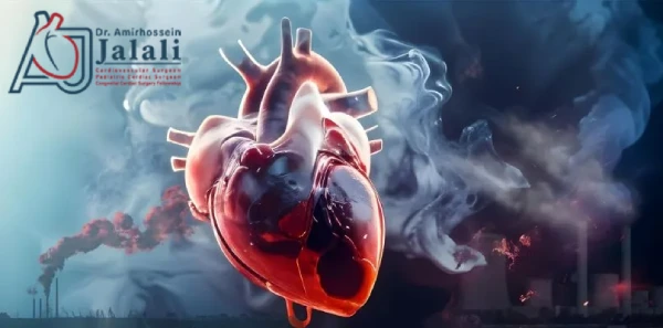 چگونه آلودگی هوا بر سلامت قلب تاثیر میگذارد؟
