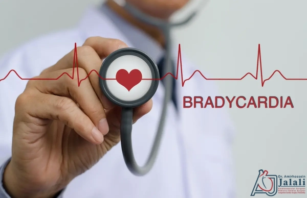 ضربان قلب آهسته یا برادی کاردی چیست؟